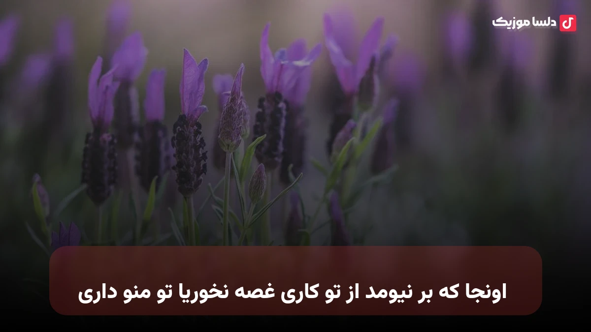  اونجا که بر نیومد از تو کاری غصه نخوریا تو منو داری